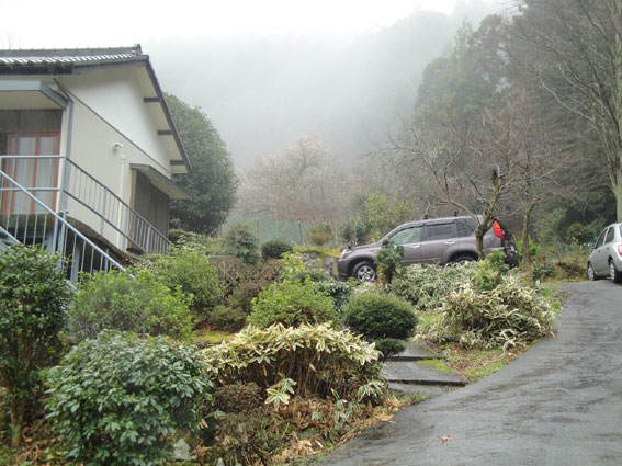 霧に包まれた庭