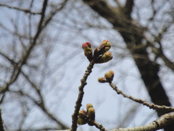 さらに近寄って見る。